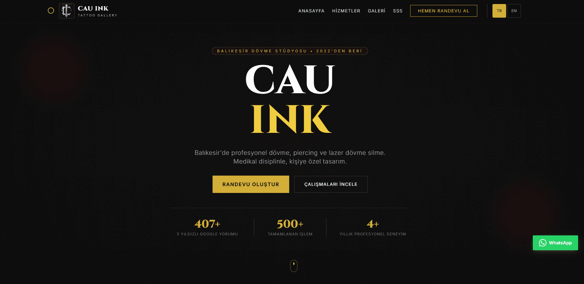 CAU INK proje kapak görseli